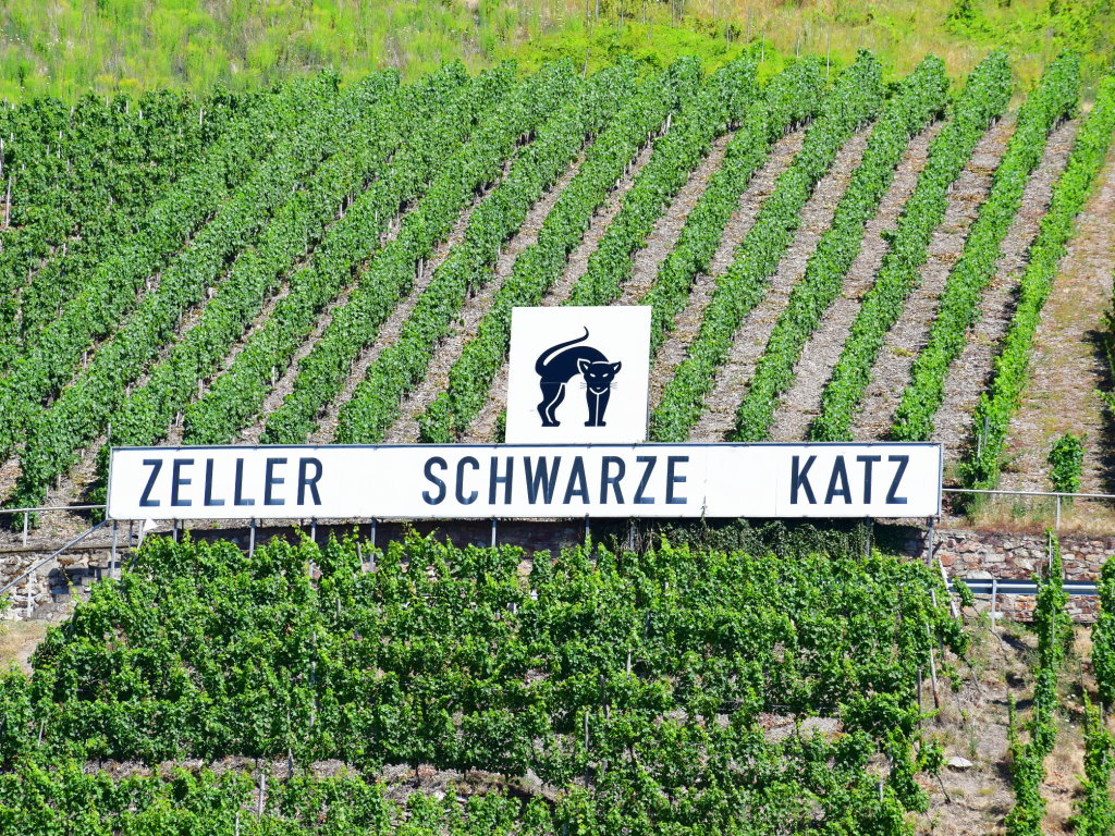 Weinberg Zeller Schwarze Katz - Mosel Urlaub in Doppelzimmer Schwarze Katz in Gästehaus Zeller Altstadt, Oberstraße 6, 56856 Zell (Mosel)