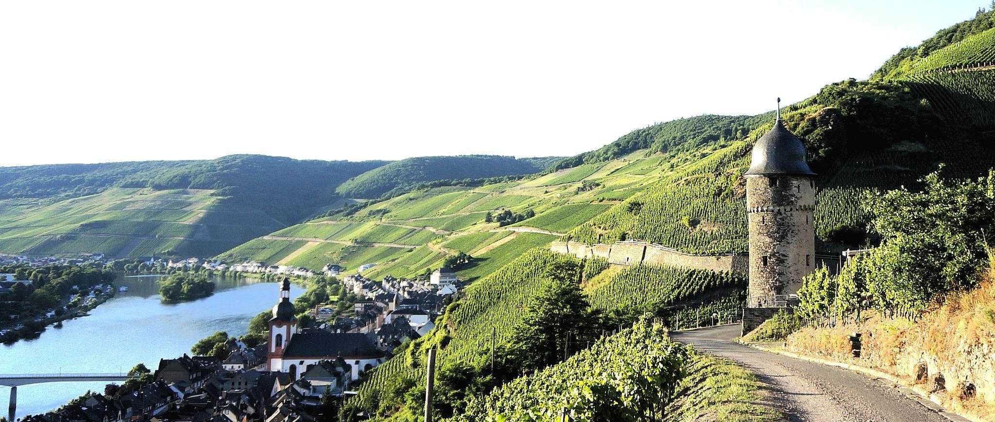 Blick auf Zell (Mosel) und Runden Trum - Mosel Urlaub in Gästehaus Zeller Altstadt, Oberstraße 6, 56856 Zell (Mosel)